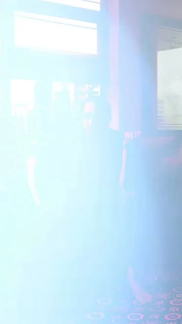 Video by Malpaís on October 27, 2025.